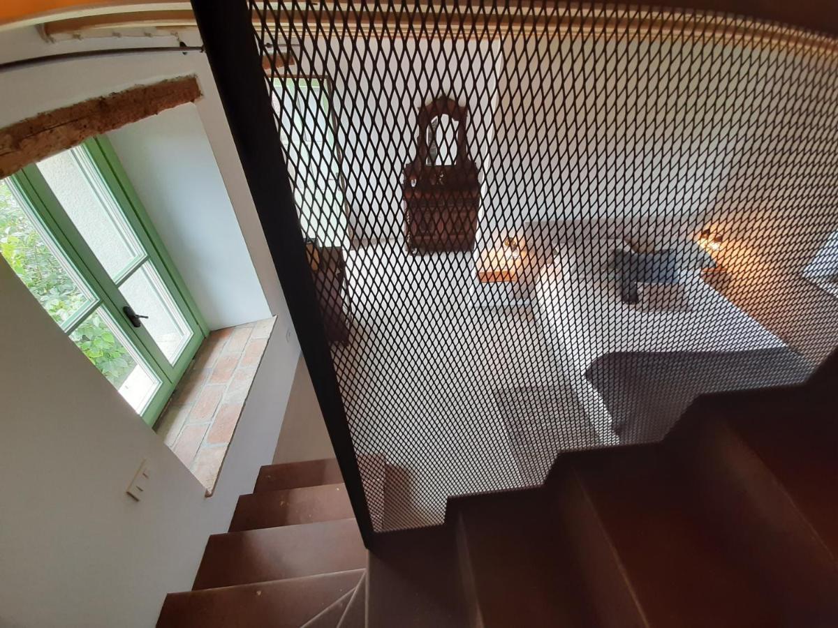 Dvor Vipolze Bed & Breakfast Dobrovo Exterior photo